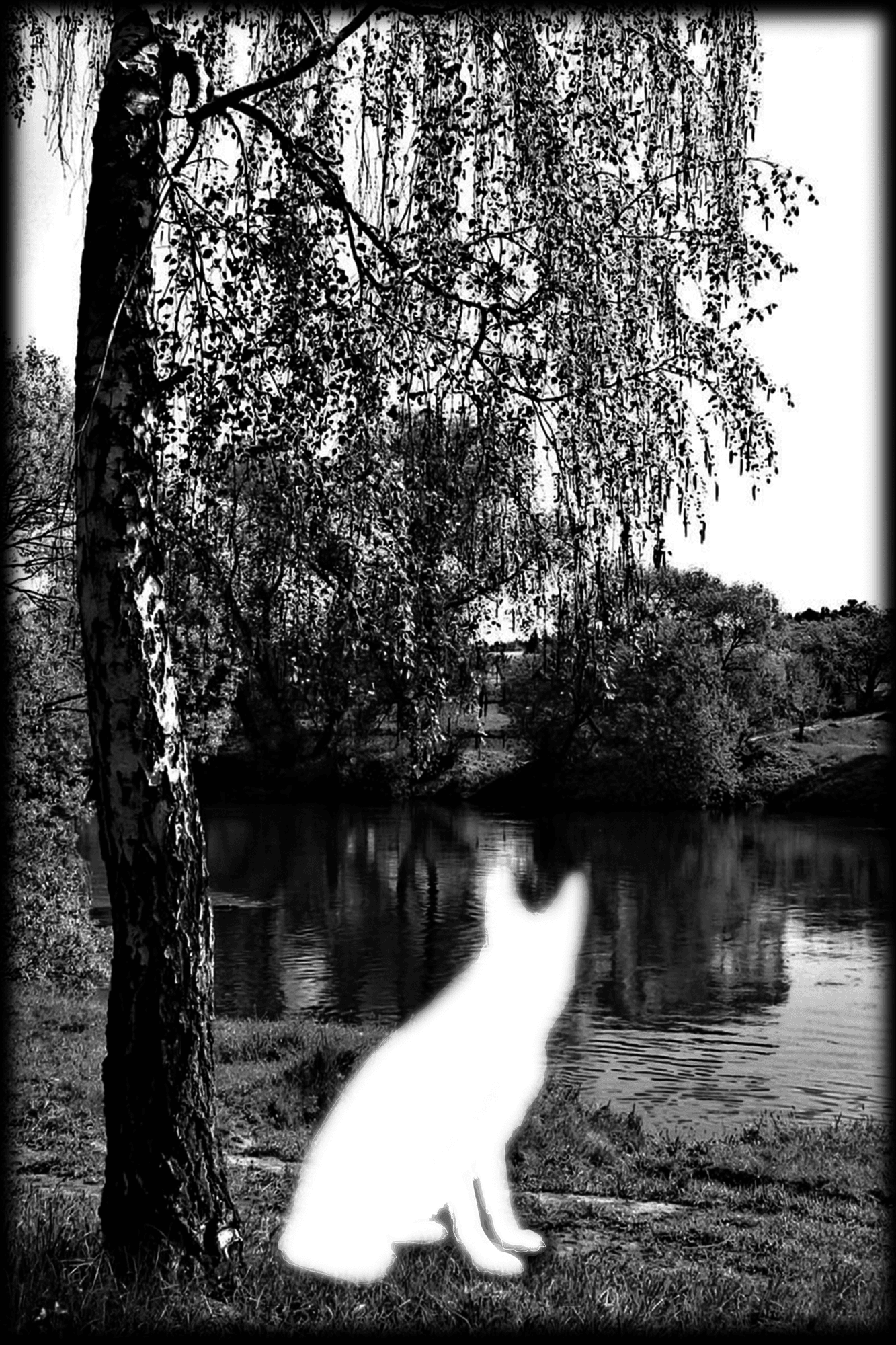 Dzīvniekiem - 16